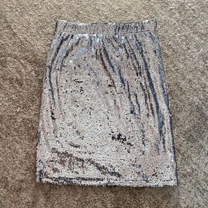 Silver Sequin Skirt